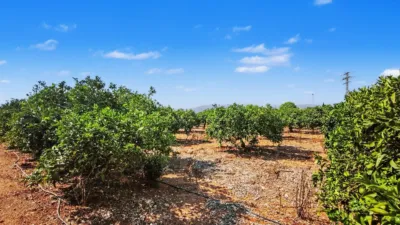 Terreno en venta en Ondara - Vista 4