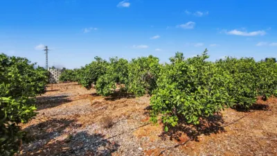 Terreno en venta en Ondara - Vista 5