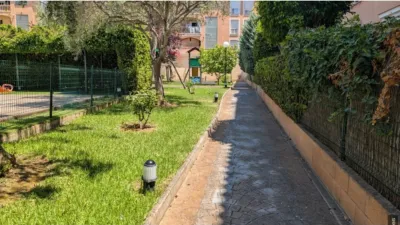 Apartment in Son Oliva photo 15