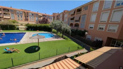 Apartment in Son Oliva photo 14
