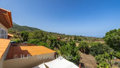 House on Camino de Tacande photo 45