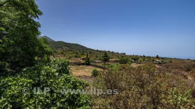 House on Camino de Tacande photo 72