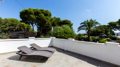 Chalet in Pinar de Ladvocat photo 26