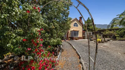 House on Camino de Tacande photo 5