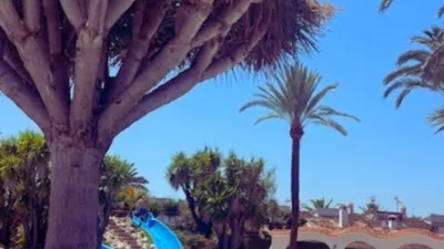 Apartment in Les Marines photo 5