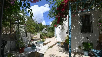 Chalet in Cap Marti photo 16