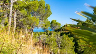 Pis – Altea - Vista 2