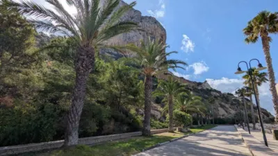 Apartment in Las Adelfas-Benicolada-Garduix photo 22