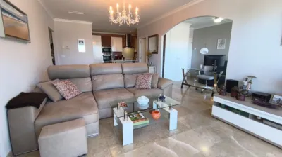 Apartment in Barranco Parra photo 7