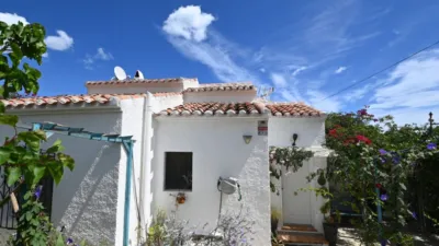 Chalet in Cap Marti photo 14
