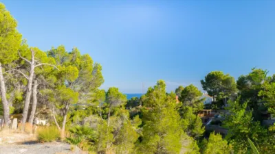 Pis – Altea - Més