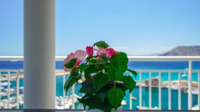 Apartment in Playa del Arenal Bol-Playa del Cantal Roig photo 7