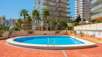 Apartment in Playa del Arenal Bol-Playa del Cantal Roig photo 50