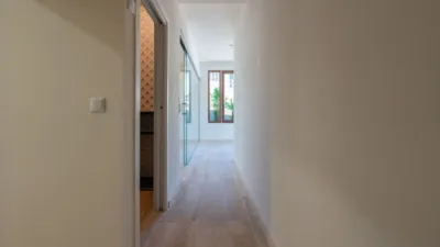 Apartment in Cala Advocat-Baladrar photo 18