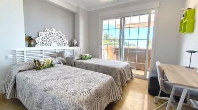Apartment in Barranco Parra photo 13