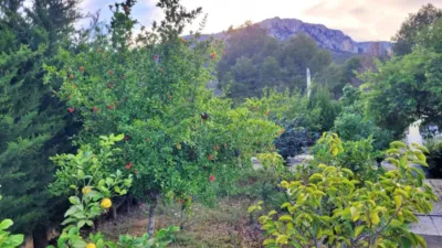 Chalet in Calpe - Calp photo 16