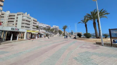 Apartment in Las Adelfas-Benicolada-Garduix photo 24