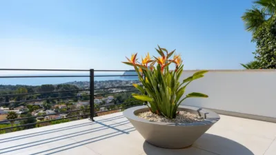 Apartment in La Fustera photo 45