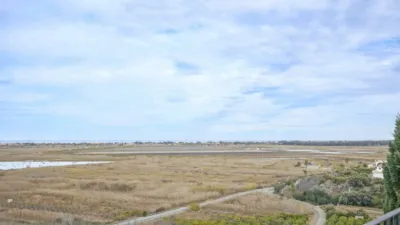 Pis – Pego, la Marina Alta - Més
