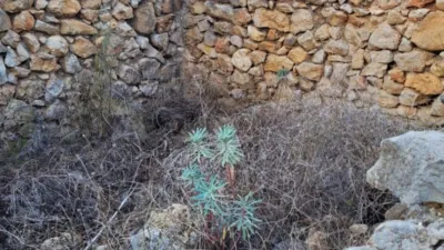 Terreno en venta en Alcalalí - Vista 2