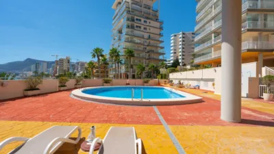 Apartment in Playa del Arenal Bol-Playa del Cantal Roig photo 47
