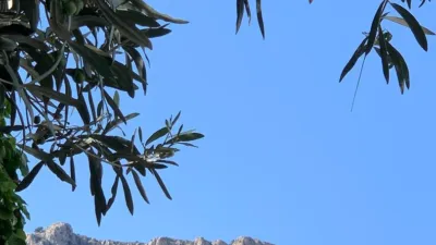 Chalet in Calpe - Calp photo 24