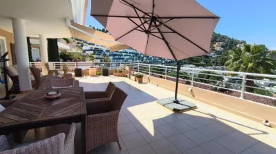 Apartment in Barranco Parra photo 9