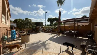 Chalet en Pinar de Campoverde photo 20
