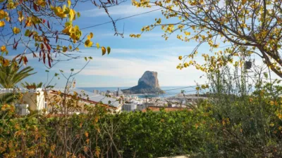 Apartment in Cala Manzanera photo 50