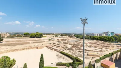 Apartment on Calle de la Diosa Tanit photo 24