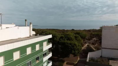 Apartment in Guardamar del Segura, close to the airport, golf course, countryside, schools, hospital, and residential area. photo 7