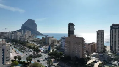 Pis - Vista 5