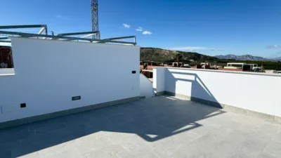 Apartment in Algorfa photo 30