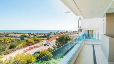 Piso – Orihuela - Vista 3