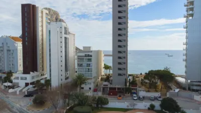Pis - Vista 2