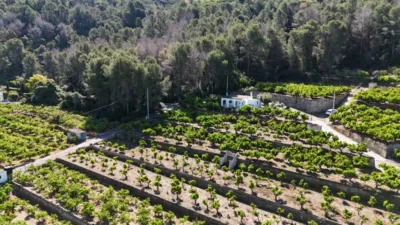 Rustic Finca in Monte Pego photo 4