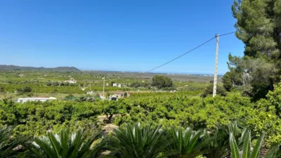 Rustic Finca in Monte Pego photo 7