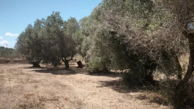 Terreno en venta en Teulada - Vista 4