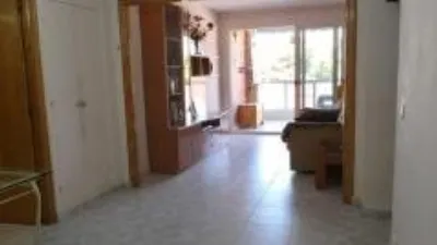 Apartment in Playa de los Náufragos photo 4