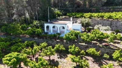 Rustic Finca in Monte Pego photo 2