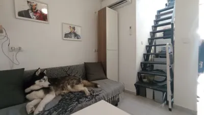 Apartment on Isaac Peral Street photo 3