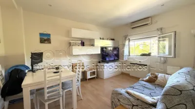 Apartment in Corralejos photo 2