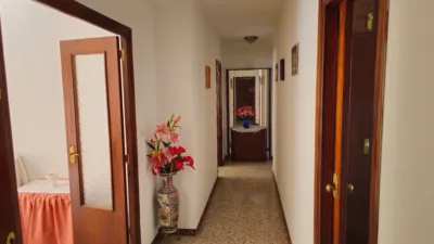 Pis – Orba, Urbanització Palmeria, la Marina Alta - Vista 3