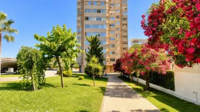 Apartment on Avenida de Cataluña, 33 photo 47