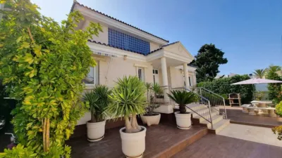 Chalet in La Mata photo 28