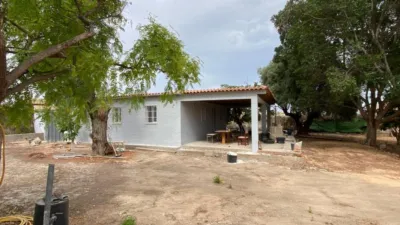 Casa – Elx - Elche - Vista 2