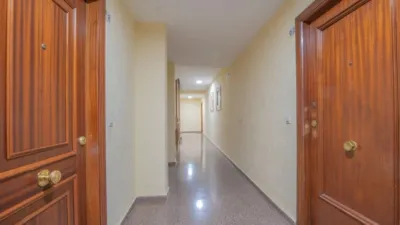 Apartment on Calle de Tibi, No. > photo 35
