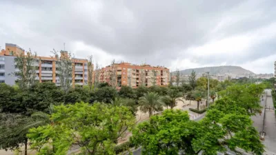 Piso – Alicante - Alacant - Más