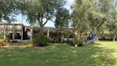 House in Cartaya photo 2