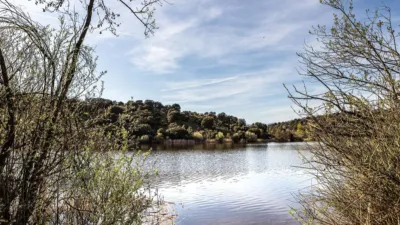 Single-family home in Camping Valdemorillo photo 70
